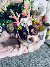 Load image into Gallery viewer, NEW Reindeer Antlers band