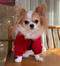 Load image into Gallery viewer, NEW Squid games dog jumper