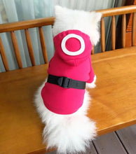 Load image into Gallery viewer, NEW Squid games dog jumper