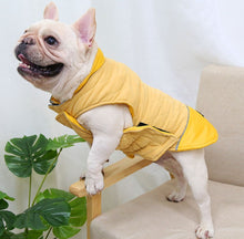 Load image into Gallery viewer, Bone dog jacket