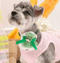 Load image into Gallery viewer, NEW Crown dog necklace