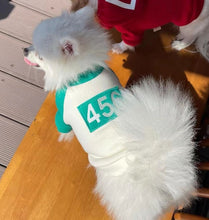 Load image into Gallery viewer, NEW Squid games dog jumper