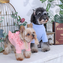 Load image into Gallery viewer, Wow Bow Dog Jumper