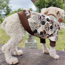 Load image into Gallery viewer, Stylish dog hoodie