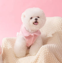 Load image into Gallery viewer, NEW Princess dog coat jacket