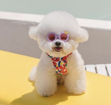 Load image into Gallery viewer, NEW Pet Shades