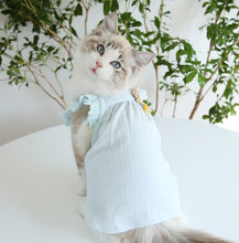Load image into Gallery viewer, NEW Bunny dog dress