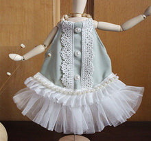 Load image into Gallery viewer, NEW Stella dog dress