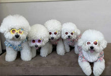 Load image into Gallery viewer, NEW Pet Shades