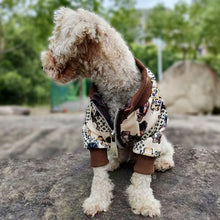 Load image into Gallery viewer, Stylish dog hoodie