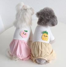 Load image into Gallery viewer, Fruity dog all in one