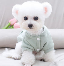 Load image into Gallery viewer, NEW Puppy Love dog hoodie