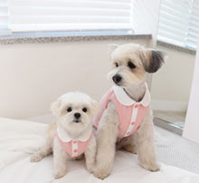 Load image into Gallery viewer, Easter dog jumper
