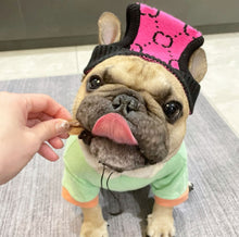 Load image into Gallery viewer, NEW Dog hat
