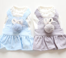Load image into Gallery viewer, Bunny dog dress