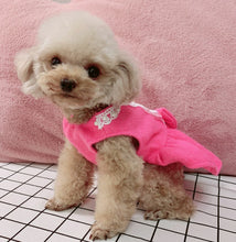 Load image into Gallery viewer, Pearl & Lace Bow Dog Dress