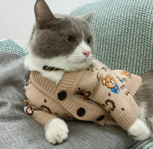 Load image into Gallery viewer, NEW Mr. Teddy dog cardigan