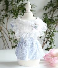 Load image into Gallery viewer, Little Star dog dress