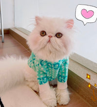 Load image into Gallery viewer, NEW GG dog jumper