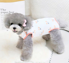 Load image into Gallery viewer, NEW Surgery Post operation dog onesie