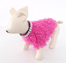 Load image into Gallery viewer, NEW Posh dog jumper