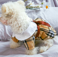 Load image into Gallery viewer, NEW tartan brown dog dress
