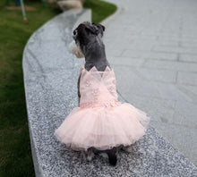 Load image into Gallery viewer, Florina pet dress
