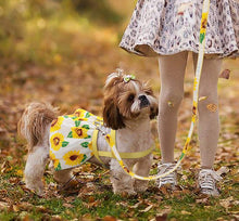 Load image into Gallery viewer, NEW Paradise pet harness set