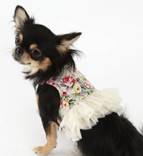 Load image into Gallery viewer, Florena dog harness