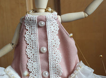 Load image into Gallery viewer, NEW Stella dog dress