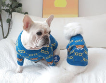 Load image into Gallery viewer, NEW GG Teddy dog jumper