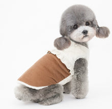 Load image into Gallery viewer, NEW Pearl dog coat D ring