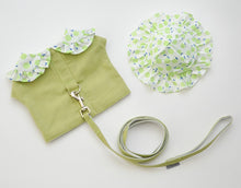 Load image into Gallery viewer, Fruit dog harness set