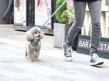 Load image into Gallery viewer, Amber Mint dog harness