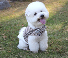 Load image into Gallery viewer, NEW Gauda dog jacket