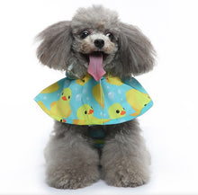 Load image into Gallery viewer, NEW Duckies Dog Rain Mac