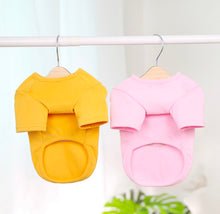 Load image into Gallery viewer, NEW My little Teddy