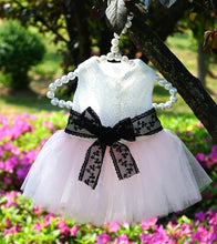 Load image into Gallery viewer, NEW Dreamie pet dress