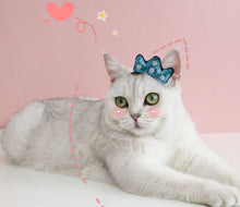 Load image into Gallery viewer, Pet Headband for Small Dogs