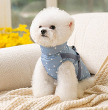 Load image into Gallery viewer, Dotty dog harness jacket
