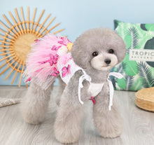 Load image into Gallery viewer, Butterfly dog dress