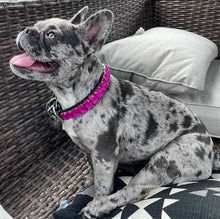Load image into Gallery viewer, Triple Row Baguette Crystal Dog Collar