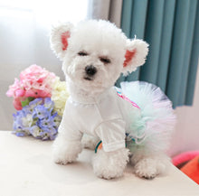 Load image into Gallery viewer, It's My Birthday dog dress