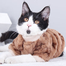 Load image into Gallery viewer, NEW In Style dog jumper