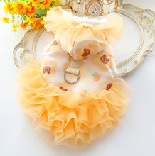 Load image into Gallery viewer, NEW Frille dog jacket