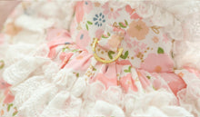 Load image into Gallery viewer, NEW D RING Teddy Lux dog dress