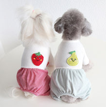 Load image into Gallery viewer, Fruity dog all in one