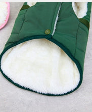 Load image into Gallery viewer, NEW Pando dog jacket