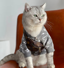 Load image into Gallery viewer, NEW Pet Cross bag accessory