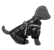 Load image into Gallery viewer, NEW LoVe harness all in one